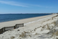 20170306_130007_resized_1